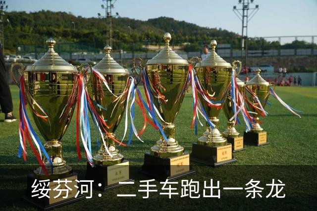 绥芬河：二手车跑出一条龙